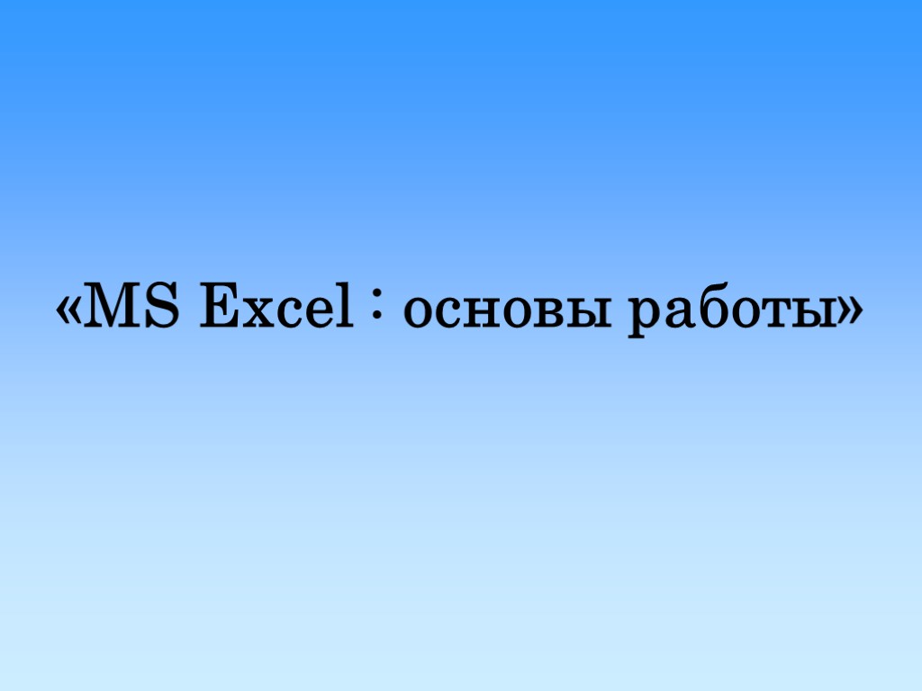 «MS Excel : основы работы»